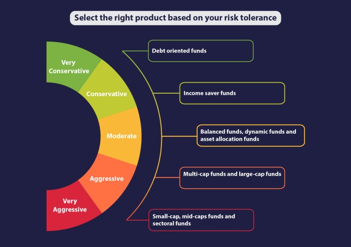 Tolerance assessment ameriprise