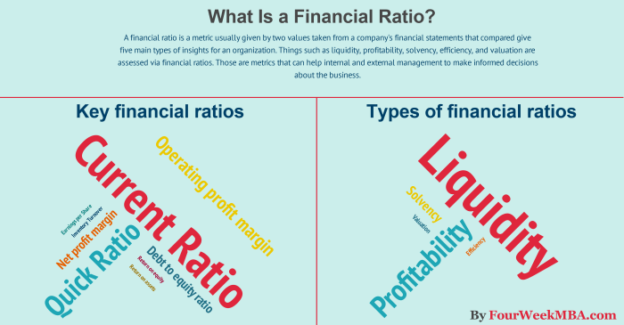 Financial ratio ratios analysis liquidity types key formulas interpretation complete guide beginner why