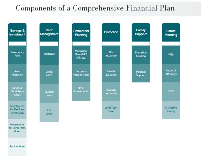 Financial planning process steps insurance advisor do advice estate health define client information next goals implement monitor help