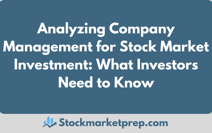 Fundamental stocks analyze trading investing investment tradingview profitable strategy