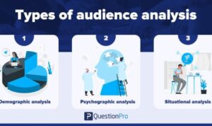 Understanding Audience Psychographics